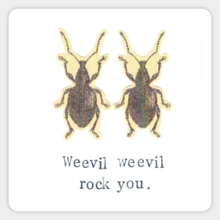 Weevil Weevil Rock You Sticker